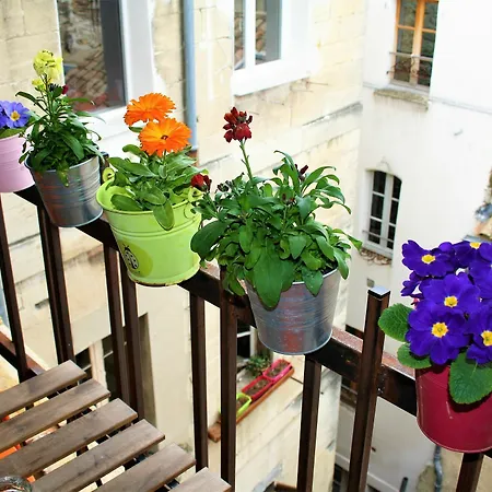 Apartment L'oriflamme Avignon